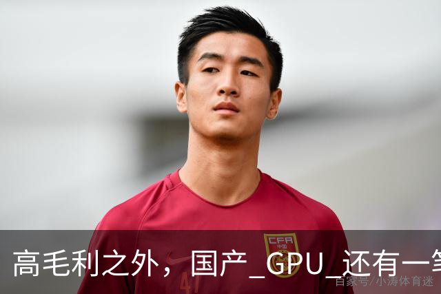 高毛利之外，国产 GPU 还有一笔 “软件账”